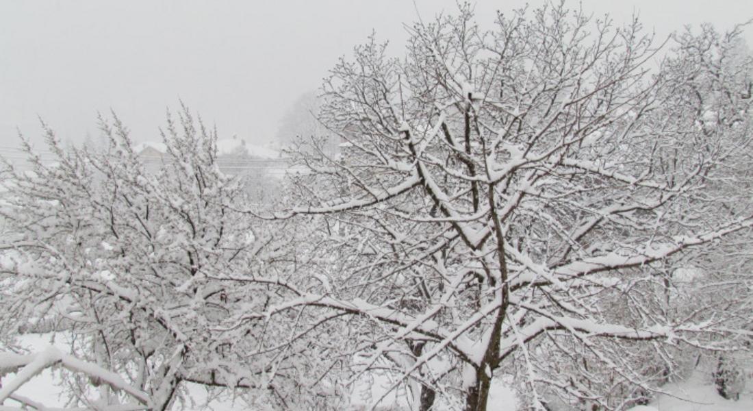 Въвеждат се ограничения за движението в Смолян заради обилния снеговалеж
