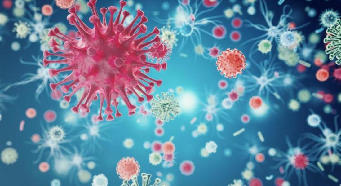  Дезинформация: как да разпознаете и да спрете митовете за коронавируса  	   