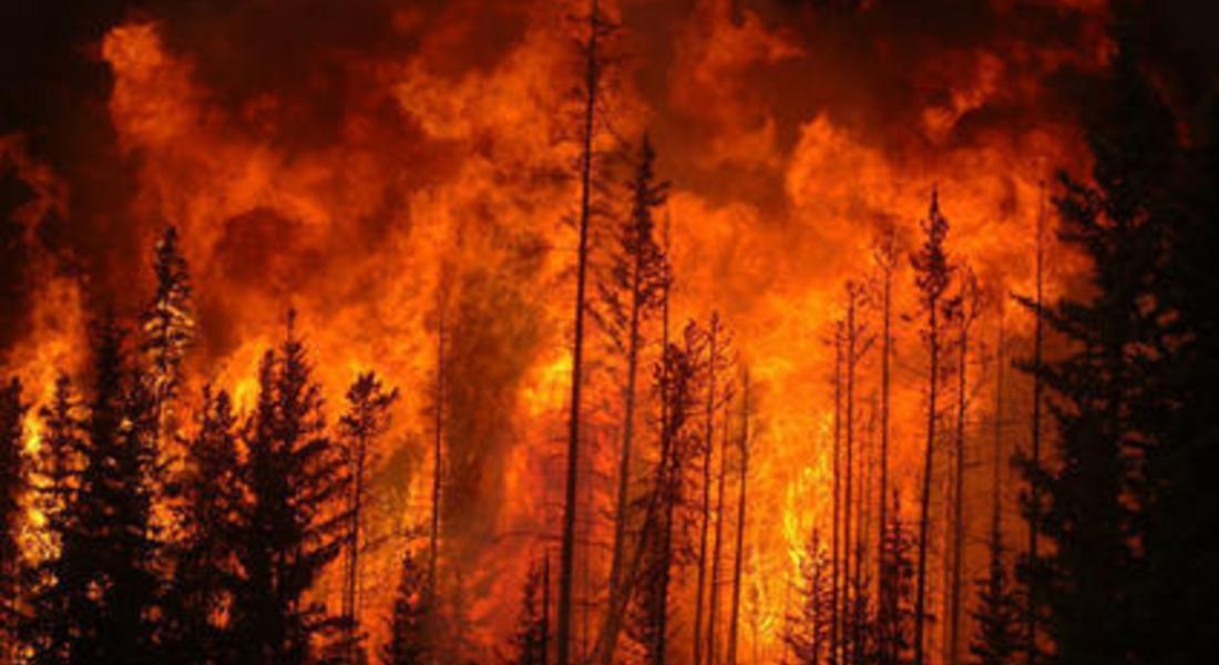 Голям горски пожар гасиха край  с.Лясково