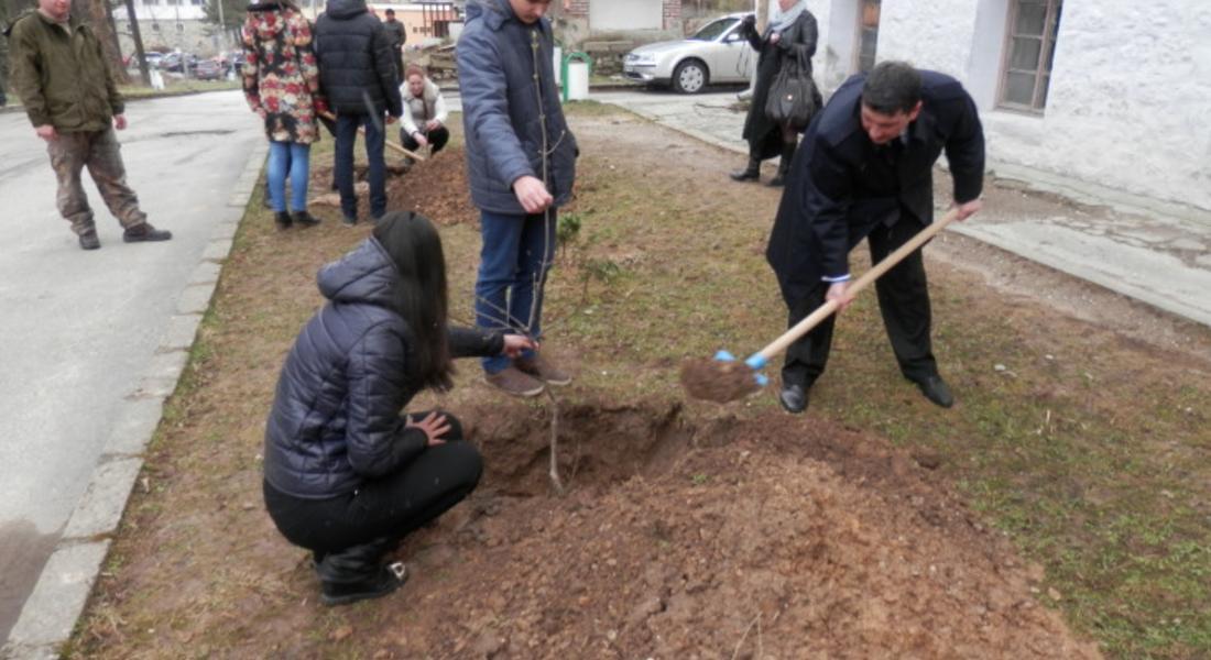 Областният управител засади фиданка в двора на ПМГ "Васил Левски"