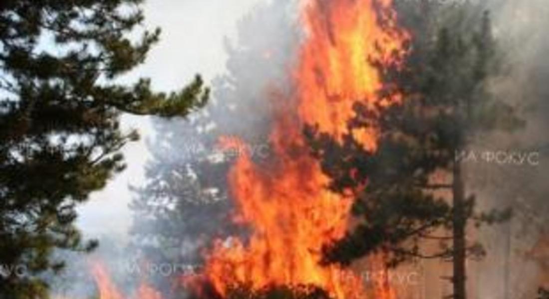 Огнеборци гасиха пожар край Девин