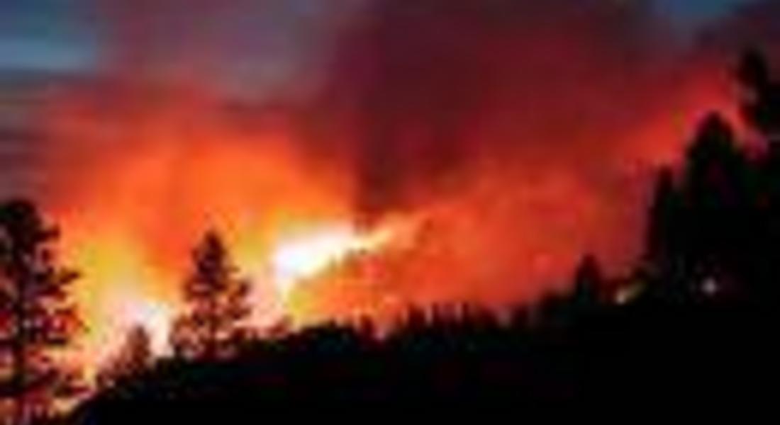    55 пожара са възникнали през юли в област Смолян                         