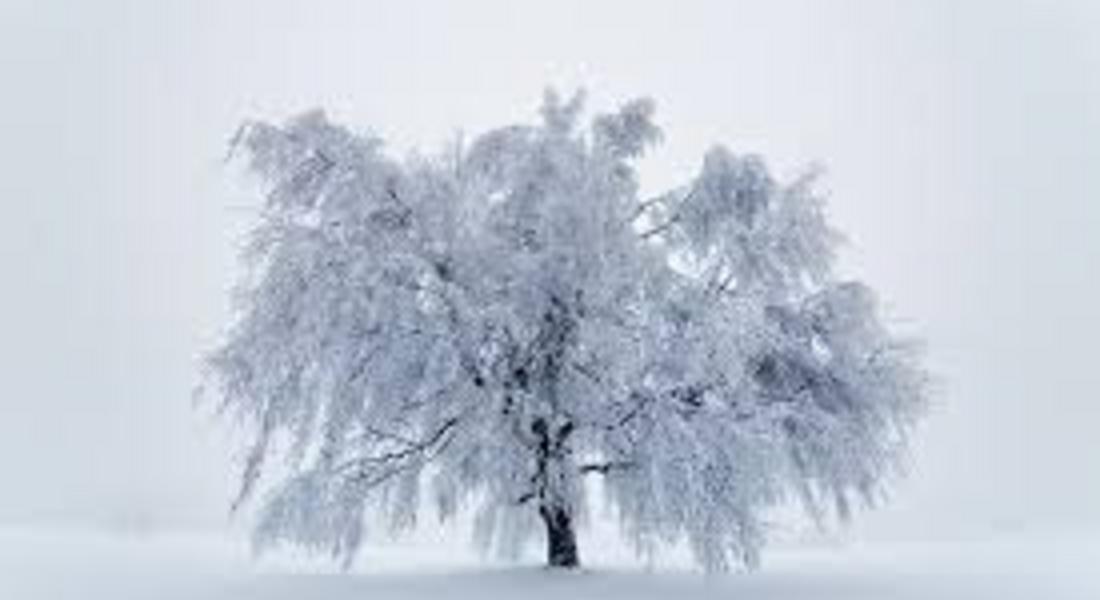 Според синоптиците: Най-студените дни ще бъдат 31 декември и 1 и 2 януари