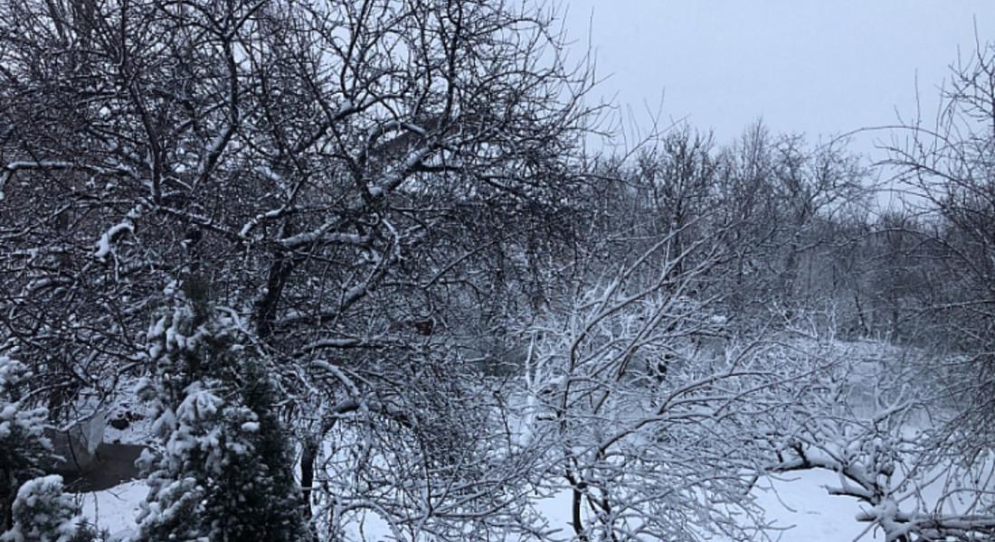  Жълт код в цяла България за сняг и дъжд