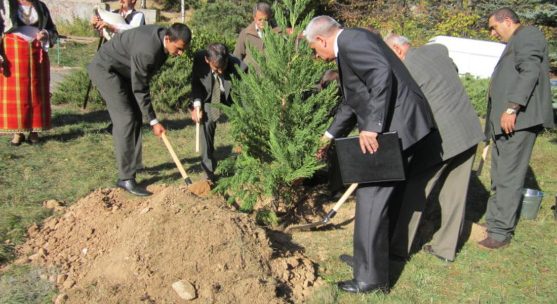 Засадиха дърво и откриха паметна плоча за 100-годишния юбилей на ДГС-Смолян