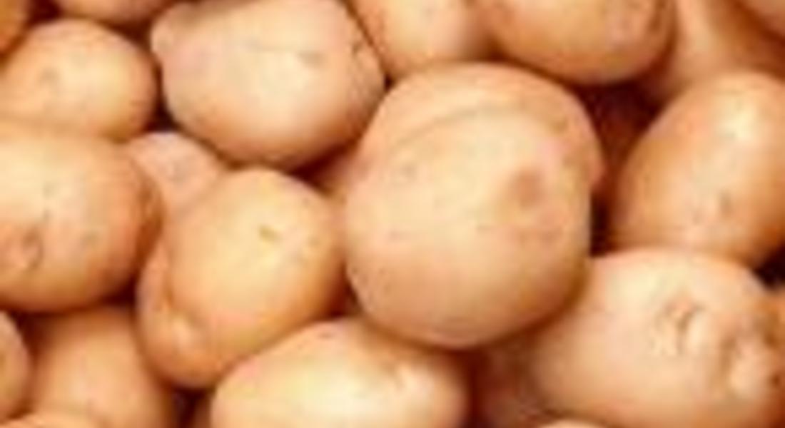 Фонд „Земеделие” изплати над 2 498 300 лева за подпомагане на картофопроизводството 