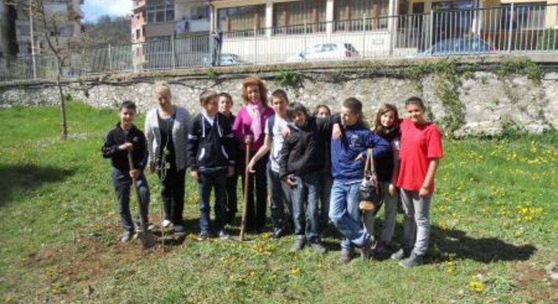 Ученици от Златоград засадиха дръвчета, по повод Деня на Земята