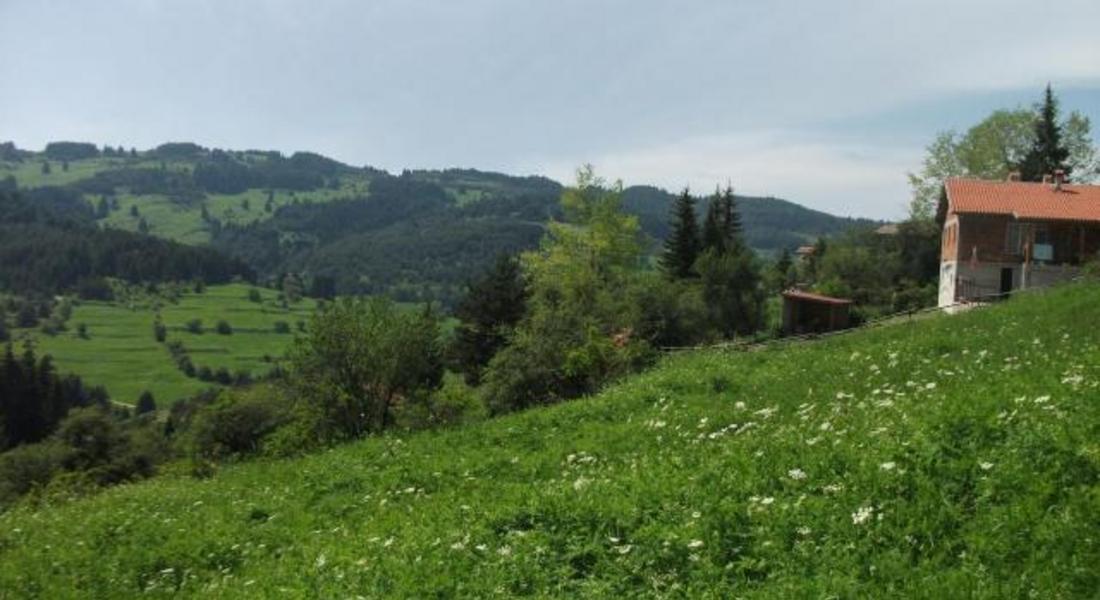 ТСБ: Пазарът на земеделска земя не е активен през последните години в област Смолян