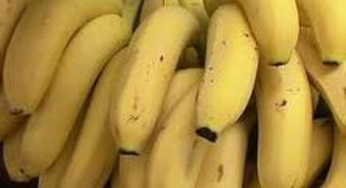 Ядем 160 тона банани на ден по Коледа