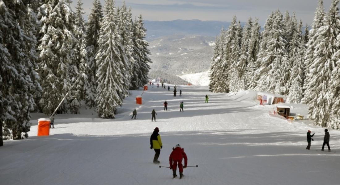 Пампорово с 6-7 процента ръст на туристи от началото на ски сезона