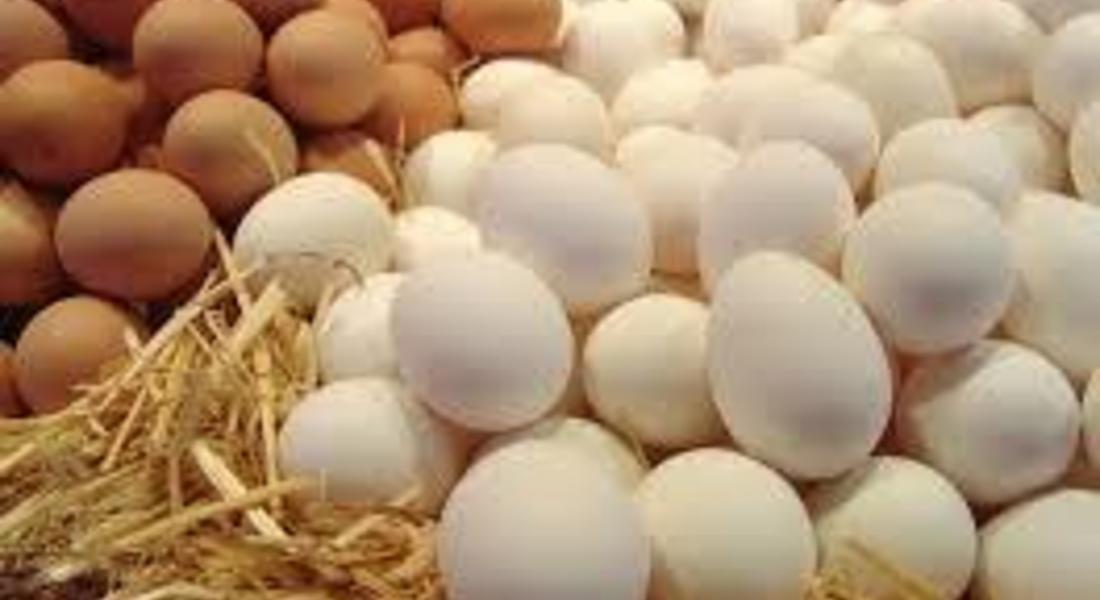  Яйцата на пазара - златни