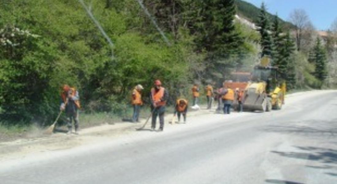 Работници почистват затлачени шахти и премахват опасни дървета