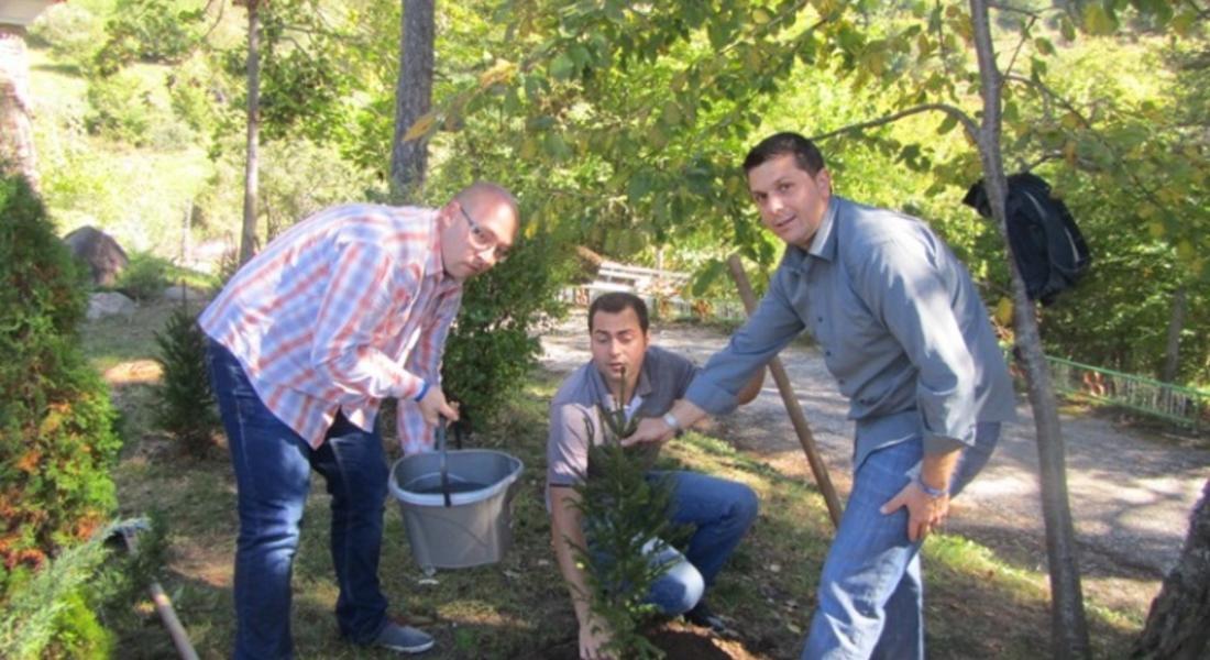  Кандидатите за депутатите от ГЕРБ засадиха 9 дръвчета в Дома за възрастни хора в село Фатово