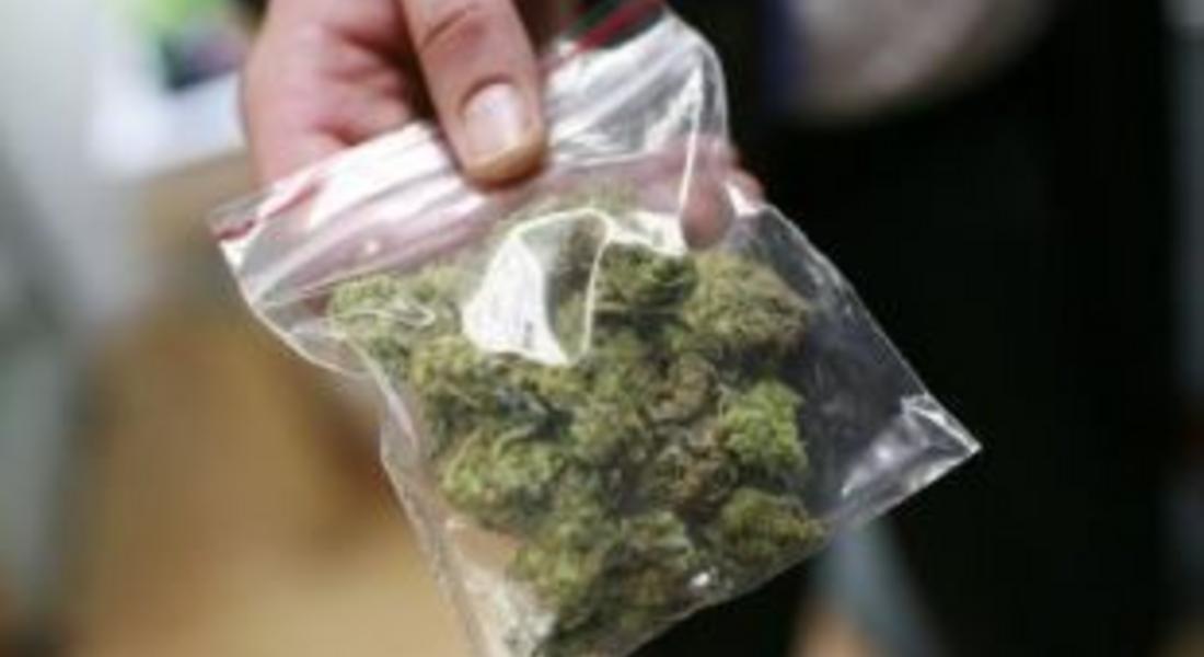 Откриха марихуана у 17-годишен от Букова поляна