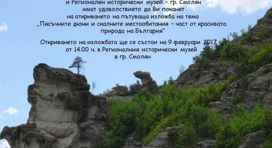 Изложба „Пясъчните дюни и скалните местообитания – част от красивата природа на България“ гостува в РИМ „Стою Шишков“ - Смолян