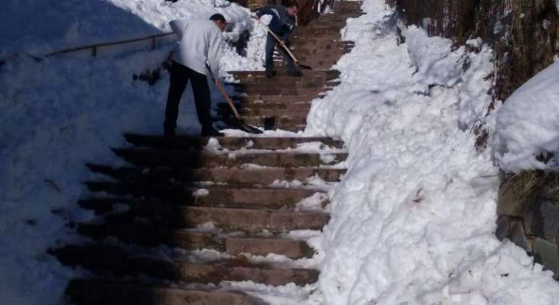 Младежи от ГЕРБ чистиха сняг от тротоари и стълби в Смолян