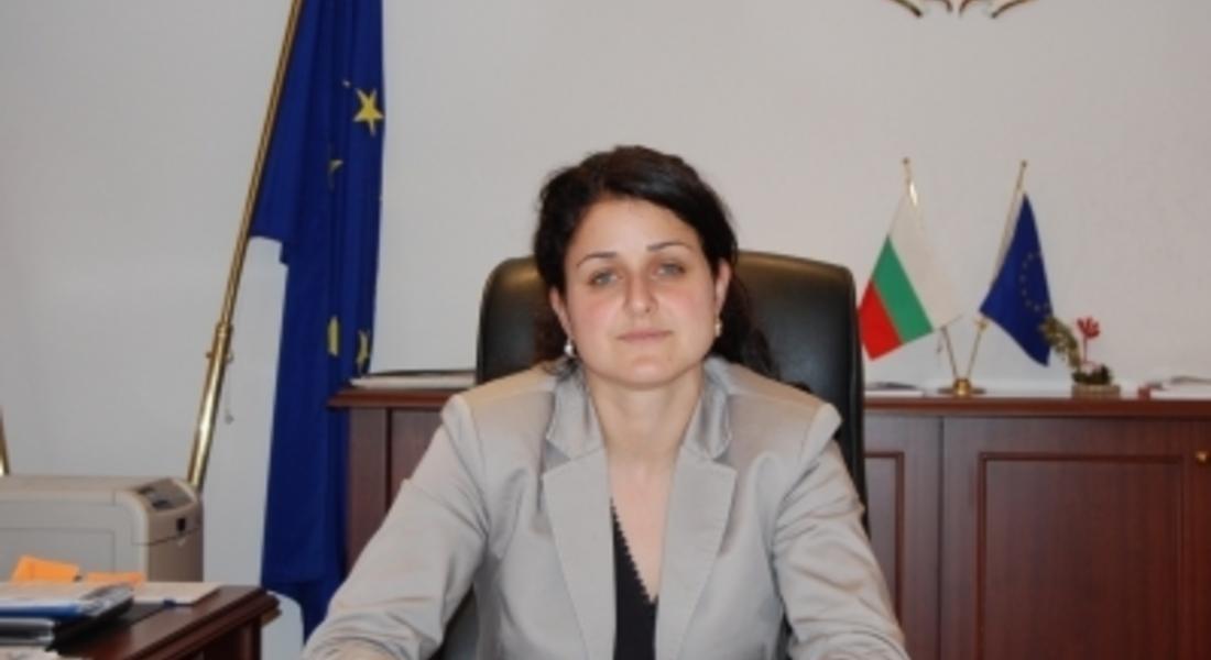 Зам.-министър Боянова: Увеличават се на 50% авансовите плащания по всички мерки на ПРСР 