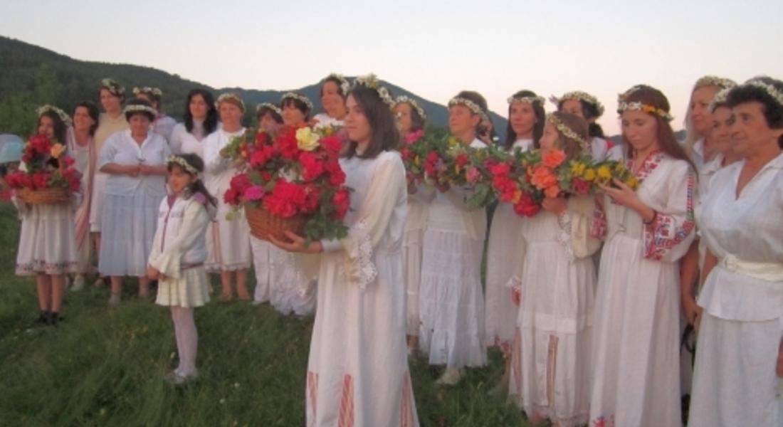  VII Фестивал на дивите цветя в Родопите започва на 21 юни