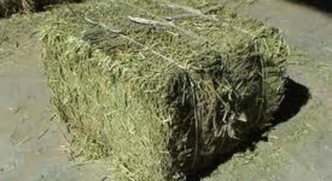 Откраднаха 20 бали сено от селскостопанска постройка край Златоград