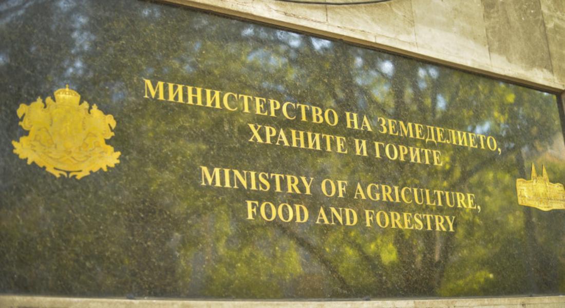 Министерство на земеделието: Борбата с корупцията в горите дава резултати