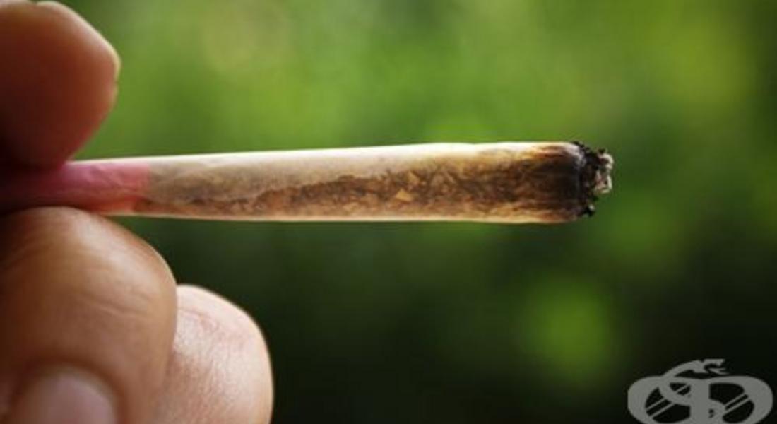 Откриха марихуана у 34-годишен смолянчанин