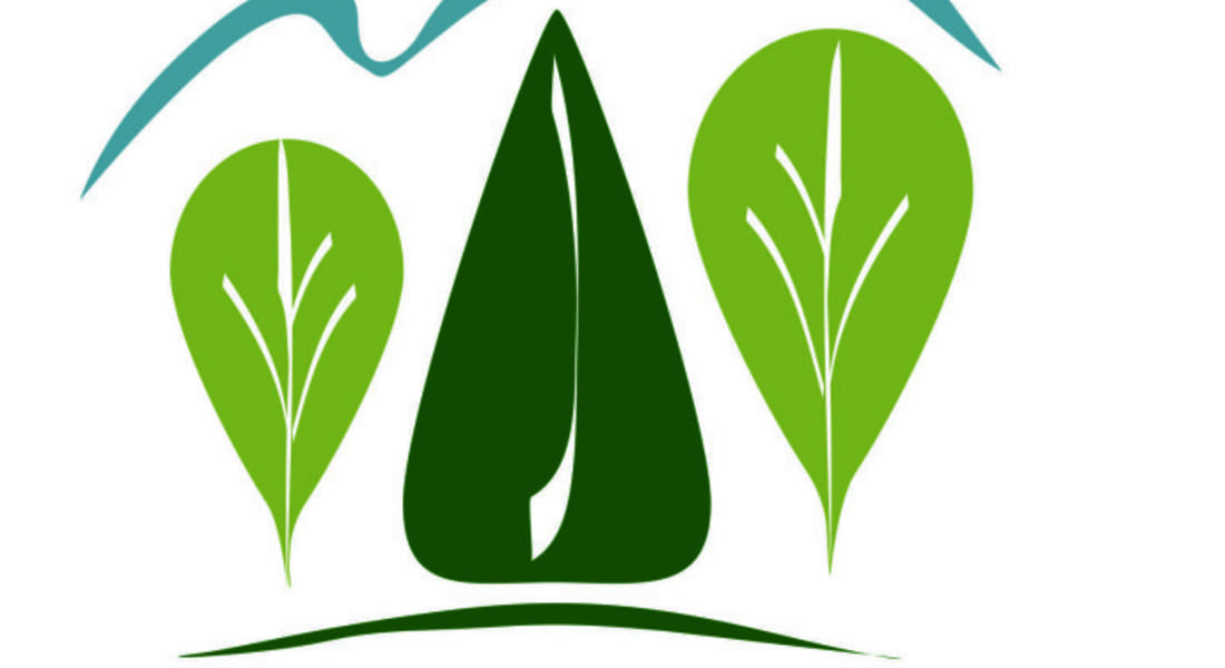 Връчват приза „Лесовъд на годината“ за област Смолян, раздават безплатни фиданки