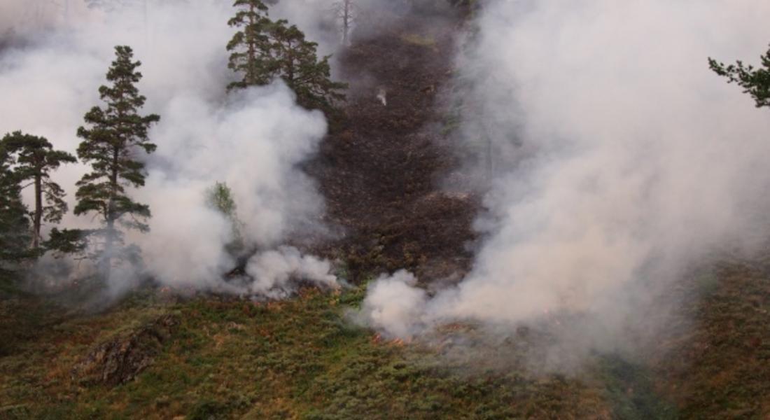 Ликвидиран е пожарът в Златоградско