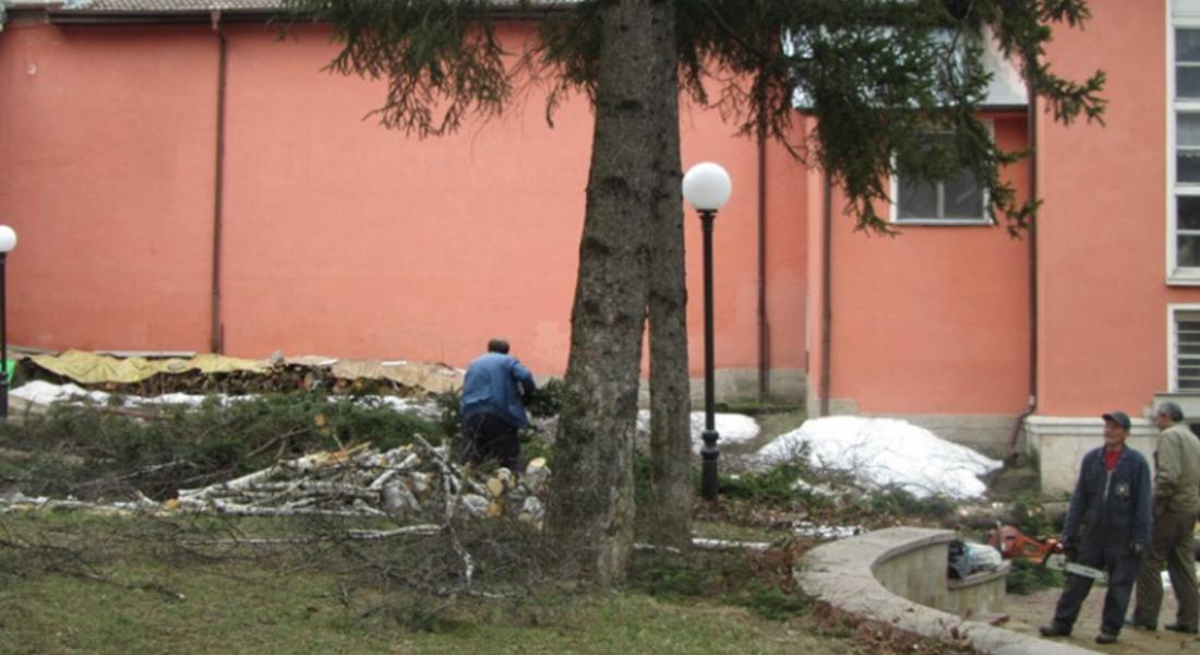 Община Смолян: Собствениците на частни имоти в регулация спешно да  отстранят счупените, изкоренени и надвиснали дървета 