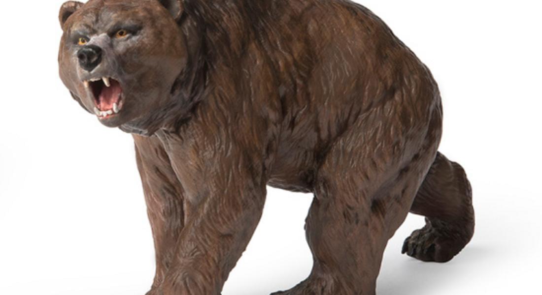 24-ти Международен палеонтологичен симпозиум на тема „Пещерната мечка“ в Чепеларе