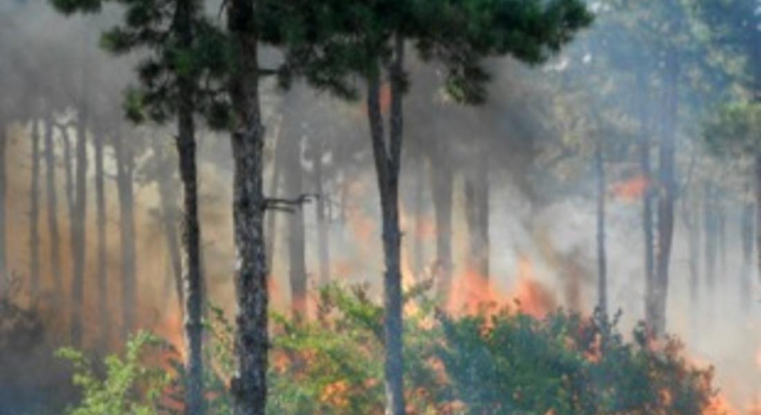  24 пожара са възникнали през месец август в област Смолян