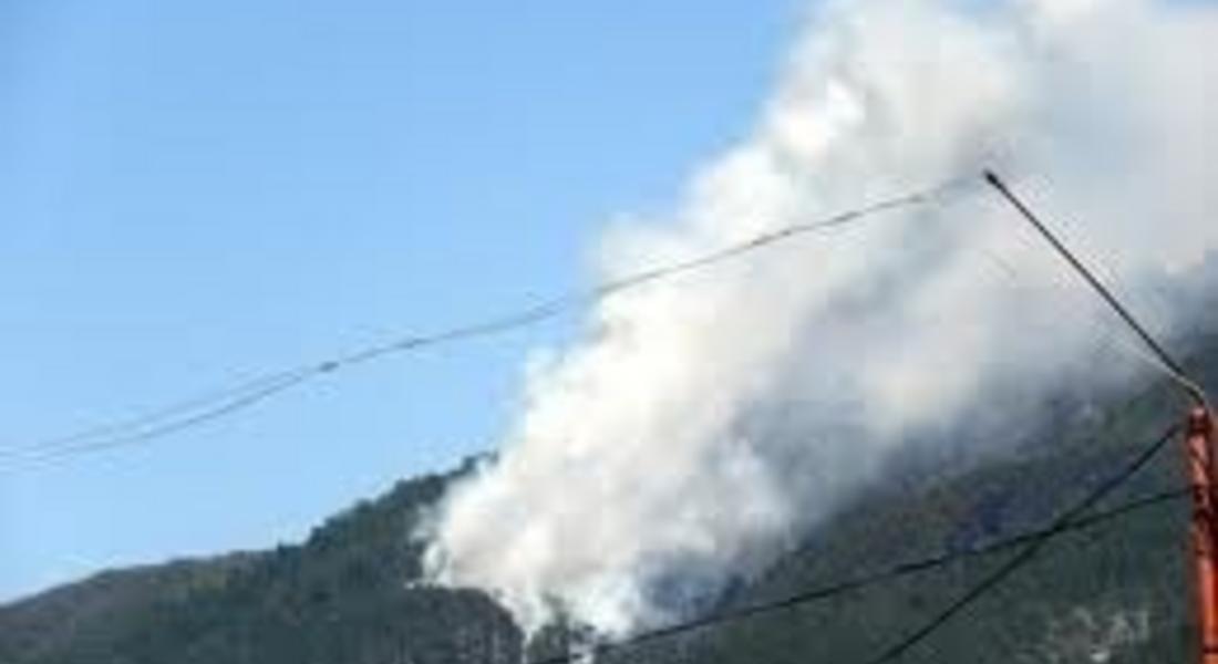 15 дка смесена гора е унищожена при пожар край Грохотно