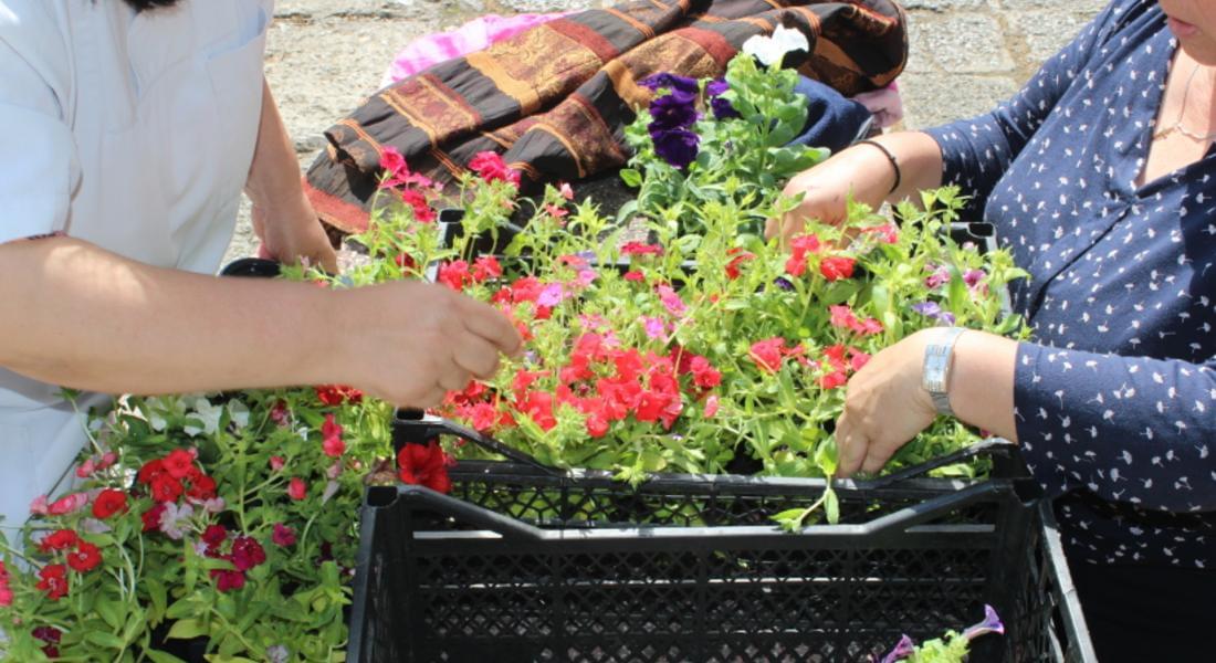 Със засаждане на цветя РИОСВ отбеляза Световния ден на околната среда – 5 юни
