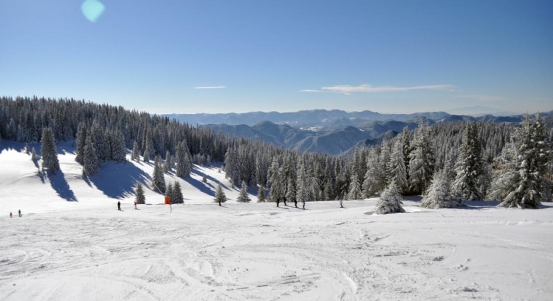 Седем писти са отворени в ски зона Пампорово