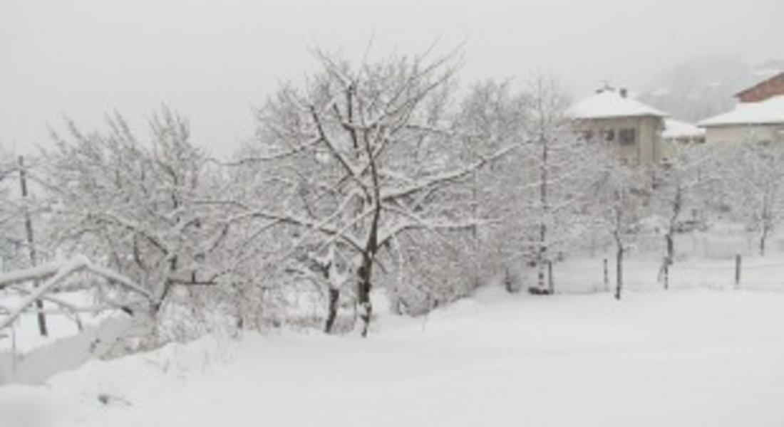 Обилен сняг вали в Смолян, новата снежна покривка е около 30 см