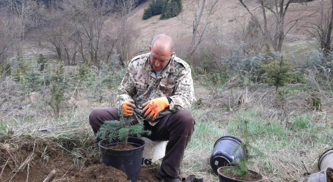 Млади изследователи ще засадят над 100 дръвчета край Дунево