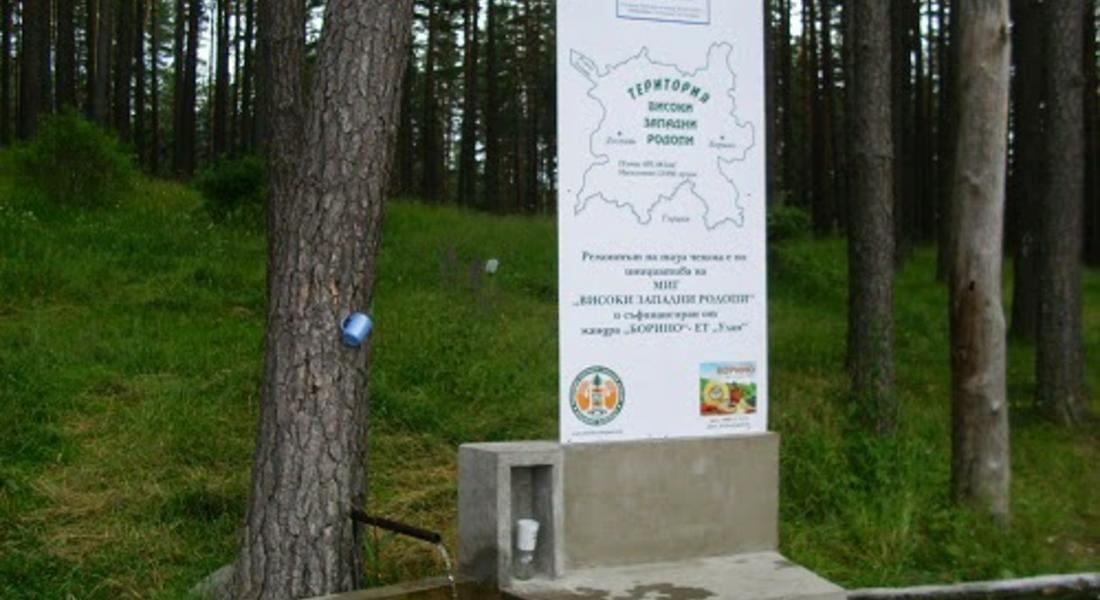 Инициативи за Седмицата на гората в община Доспат