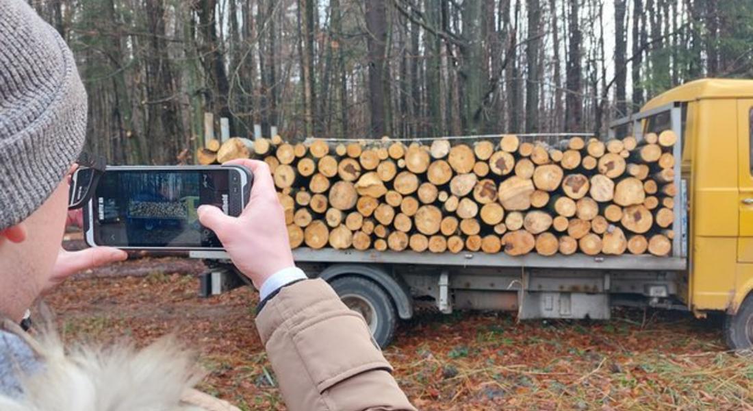 Над 3500 проверки са извършили Изпълнителна агенция по горите и Държавните горски стопанства