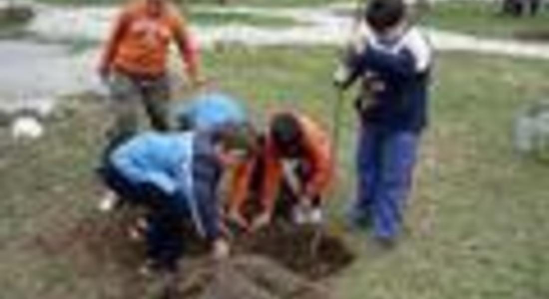 Ученици ще засадят 160 дръвчета в Смолян по повод празника на училището
