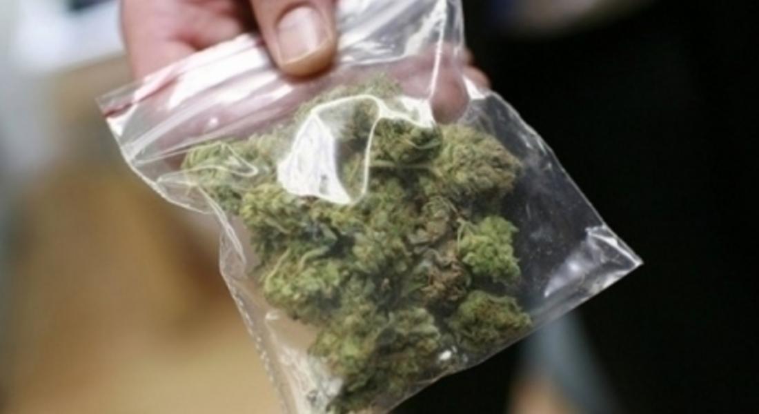 Близо половин килограм марихуана иззеха криминалисти от РУ- Девин
