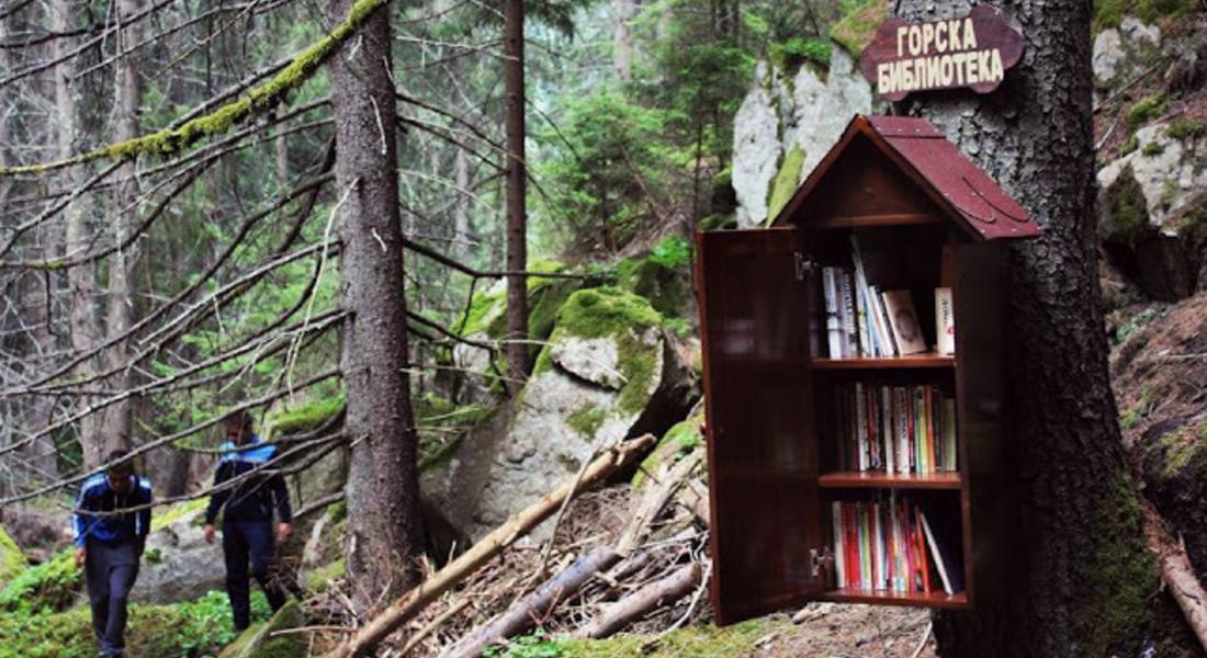 Първата Горска библиотека вече е факт в доспатското село Късак