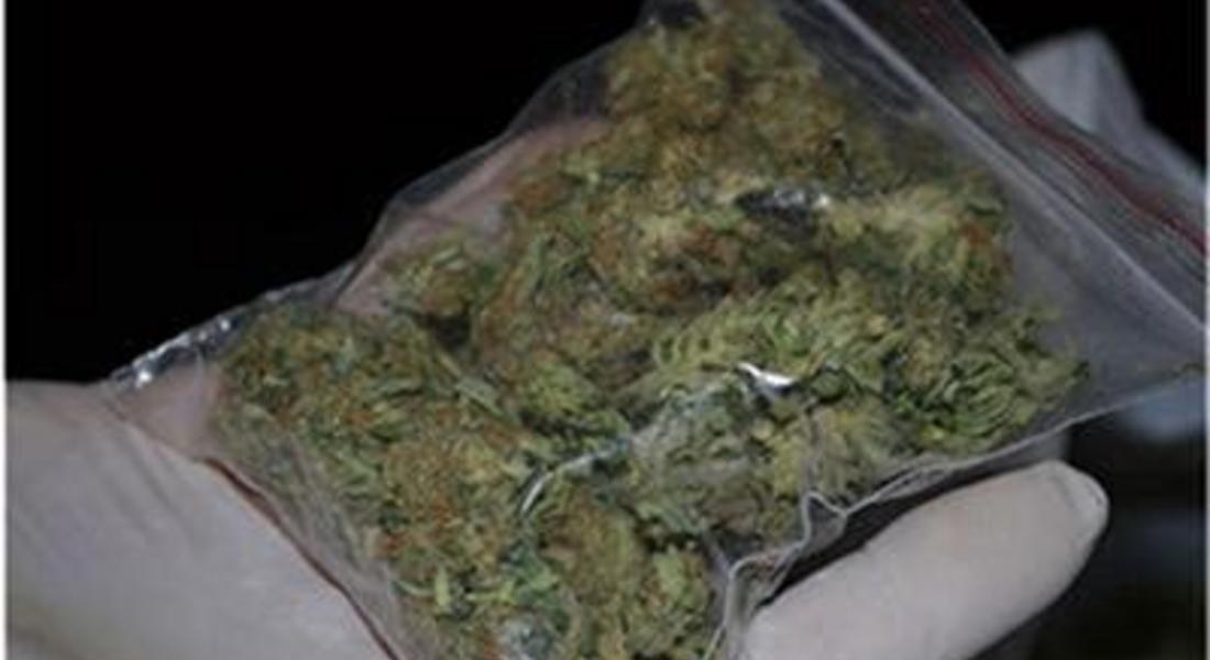Откриха марихуана при обиск на млад мъж в Рудозем