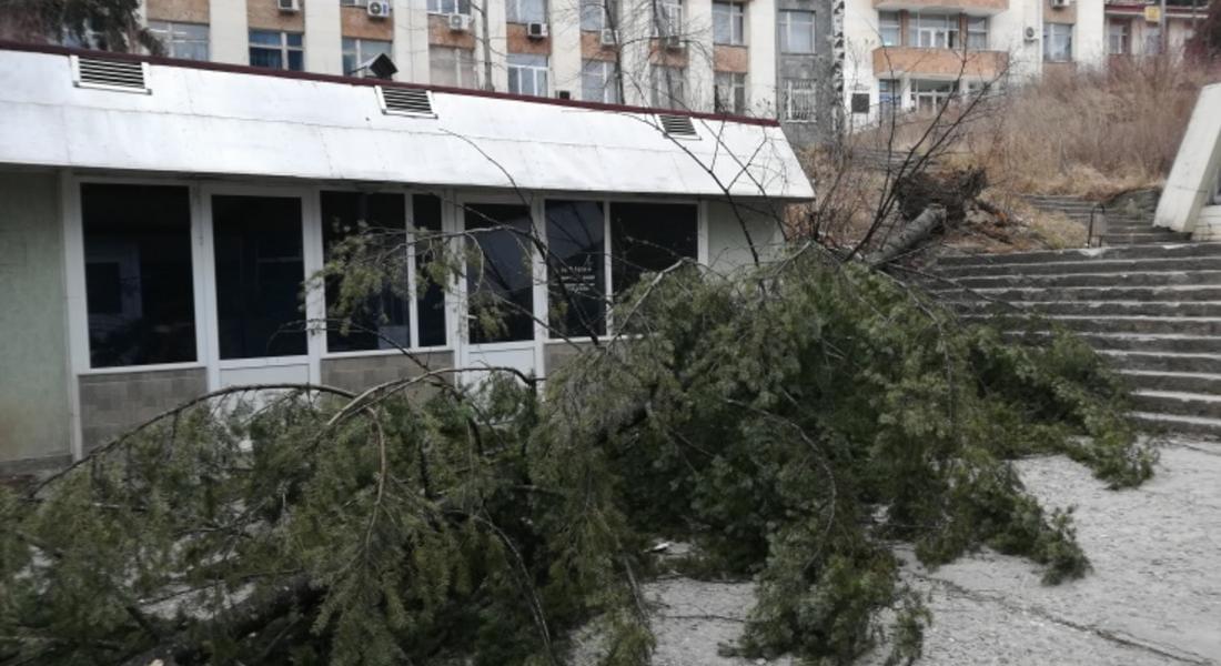 70% от населените места в община Смолян са без ток 