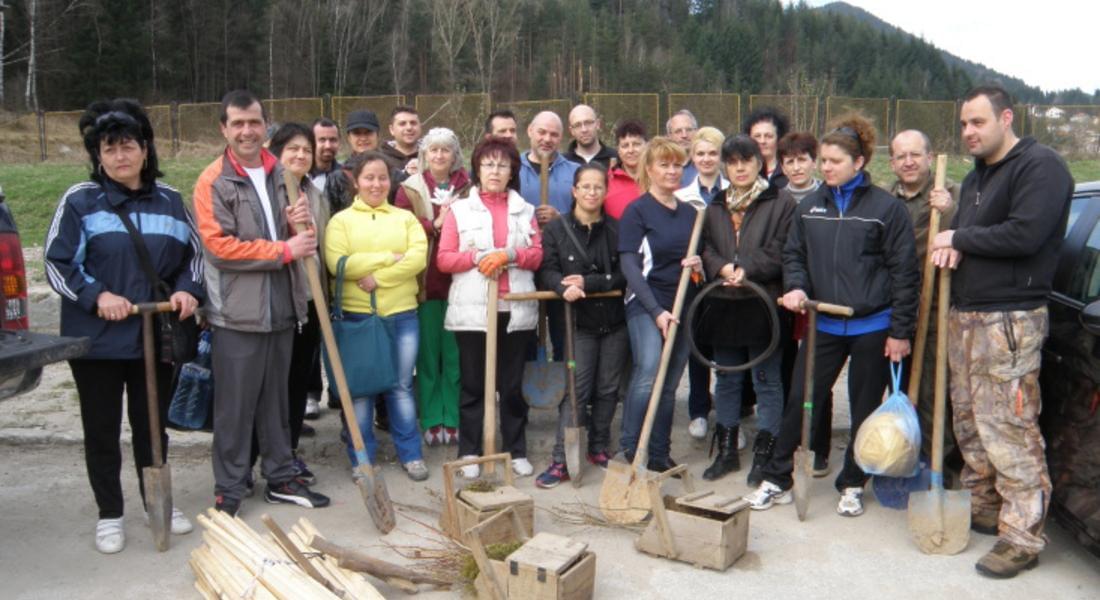 ГЕРБ – Смолян засади 50 дръвчета по повод Деня на Земята