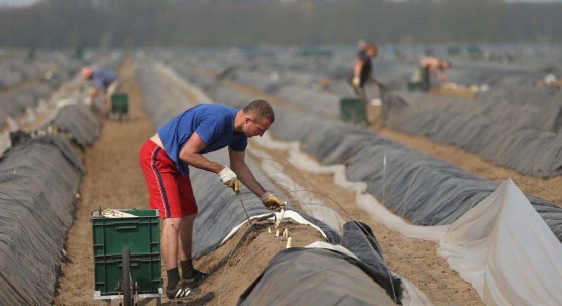  Германия пропуска български сезонни работници