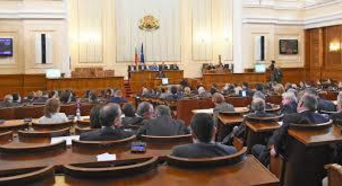 След питане на Садъков, свикват Национално съвещание за проблема с корояда  
