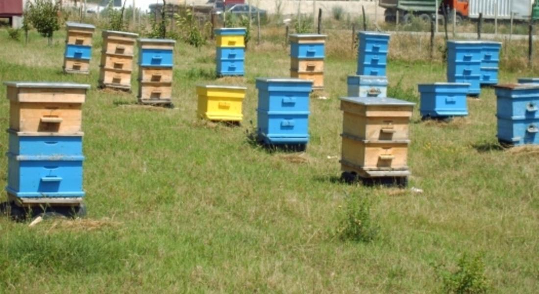 Изчерпан е бюджетът за подновяване на кошери от националната програма по пчеларство