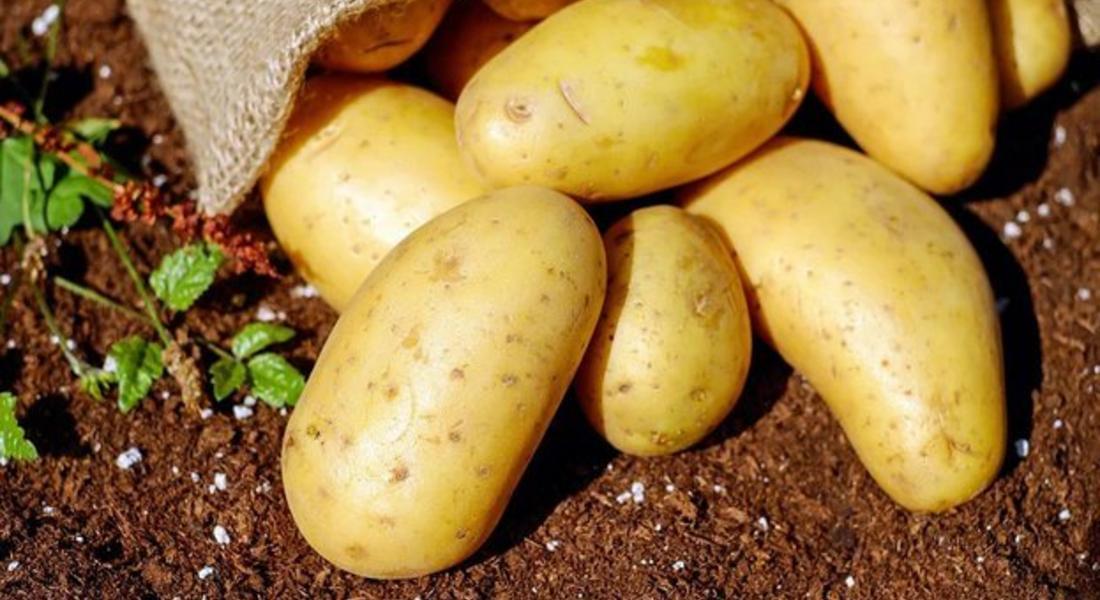  Финансовата подкрепа за картофопроизводителите през 2020 г. е в размер на 3706, 62 лв./ха