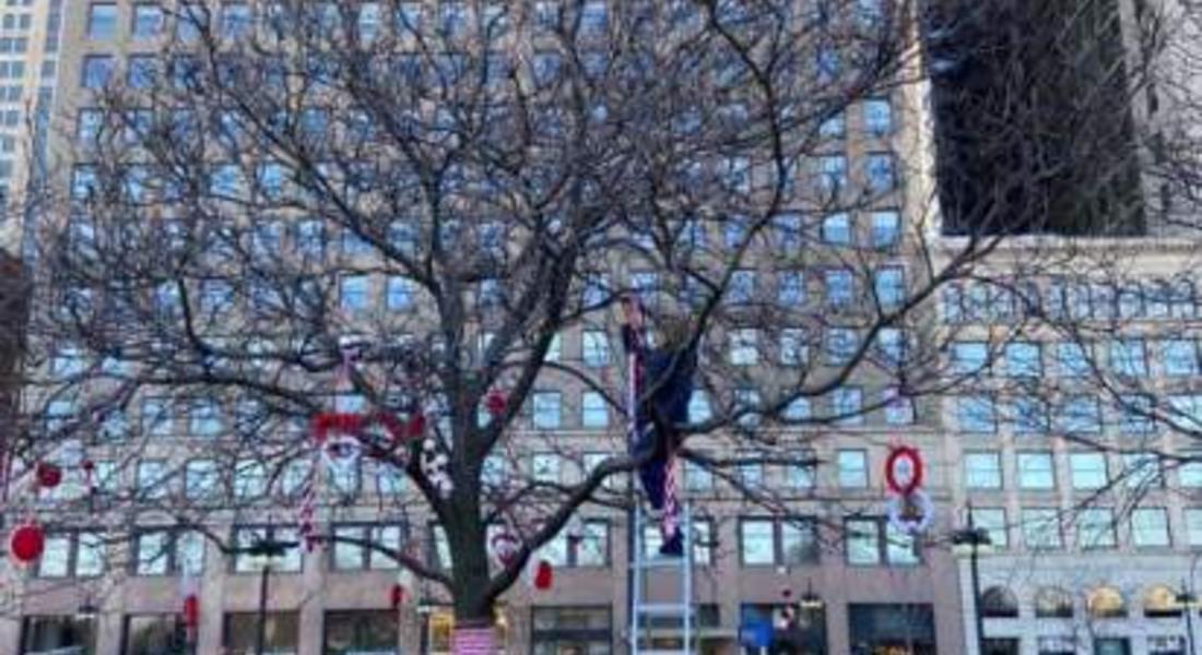 Снимка на деня! Второто дърво мартеница вече е центъра на Чикаго!