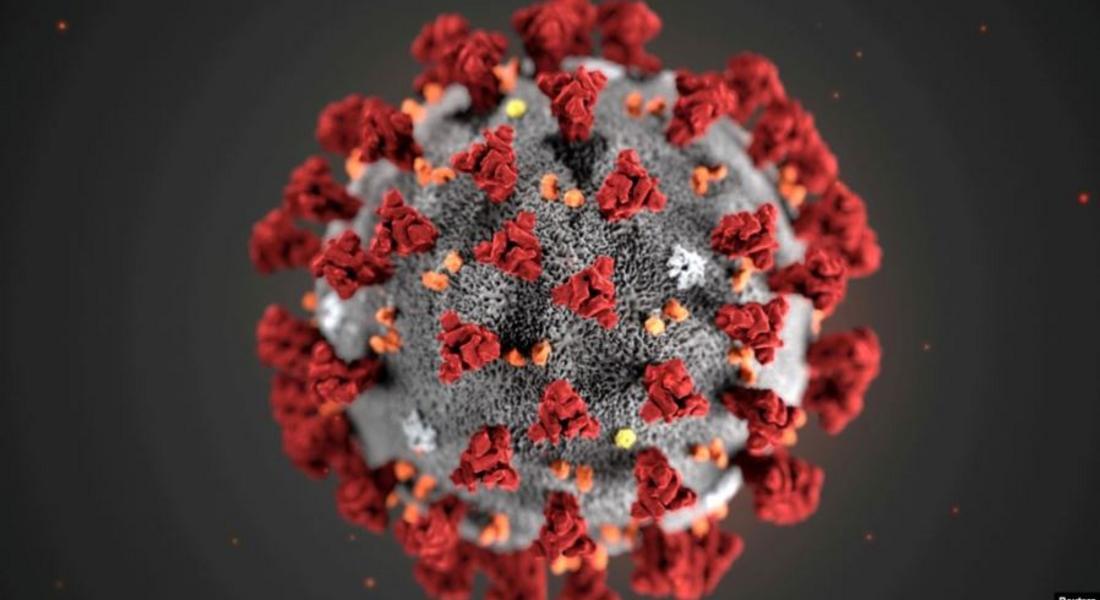  115 са новите случаи на коронавирус у нас, двама са починали