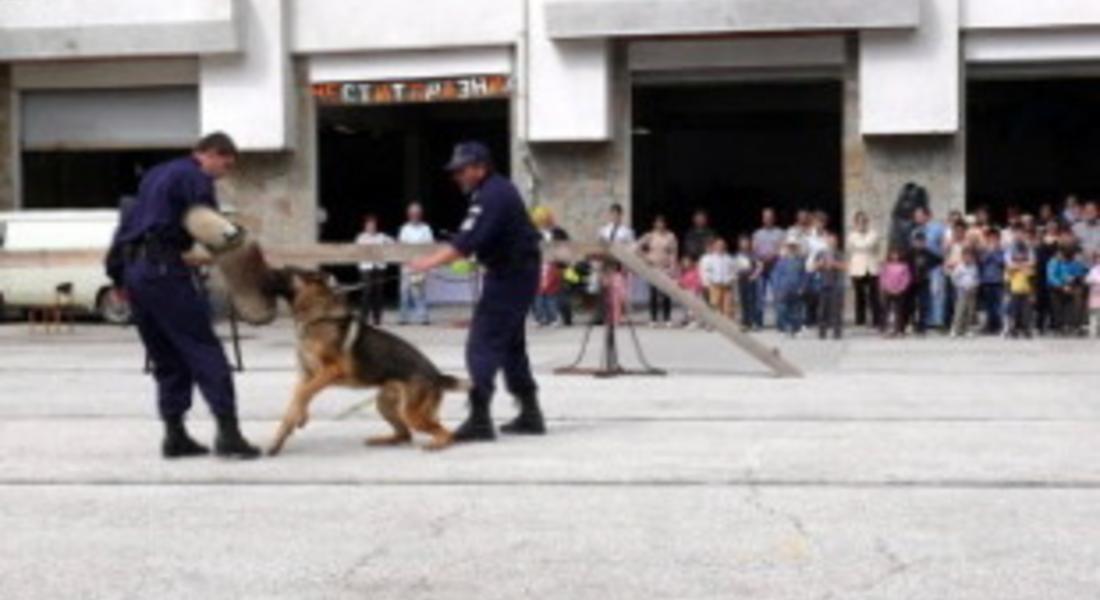  Атрактивна демонстрация на полицейски кучета от полицаи се проведе днес